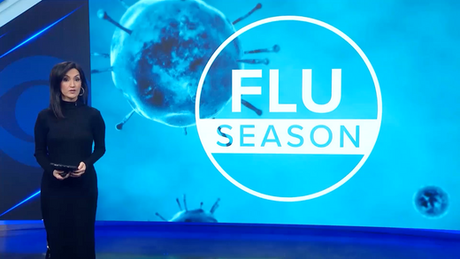 Flu Season